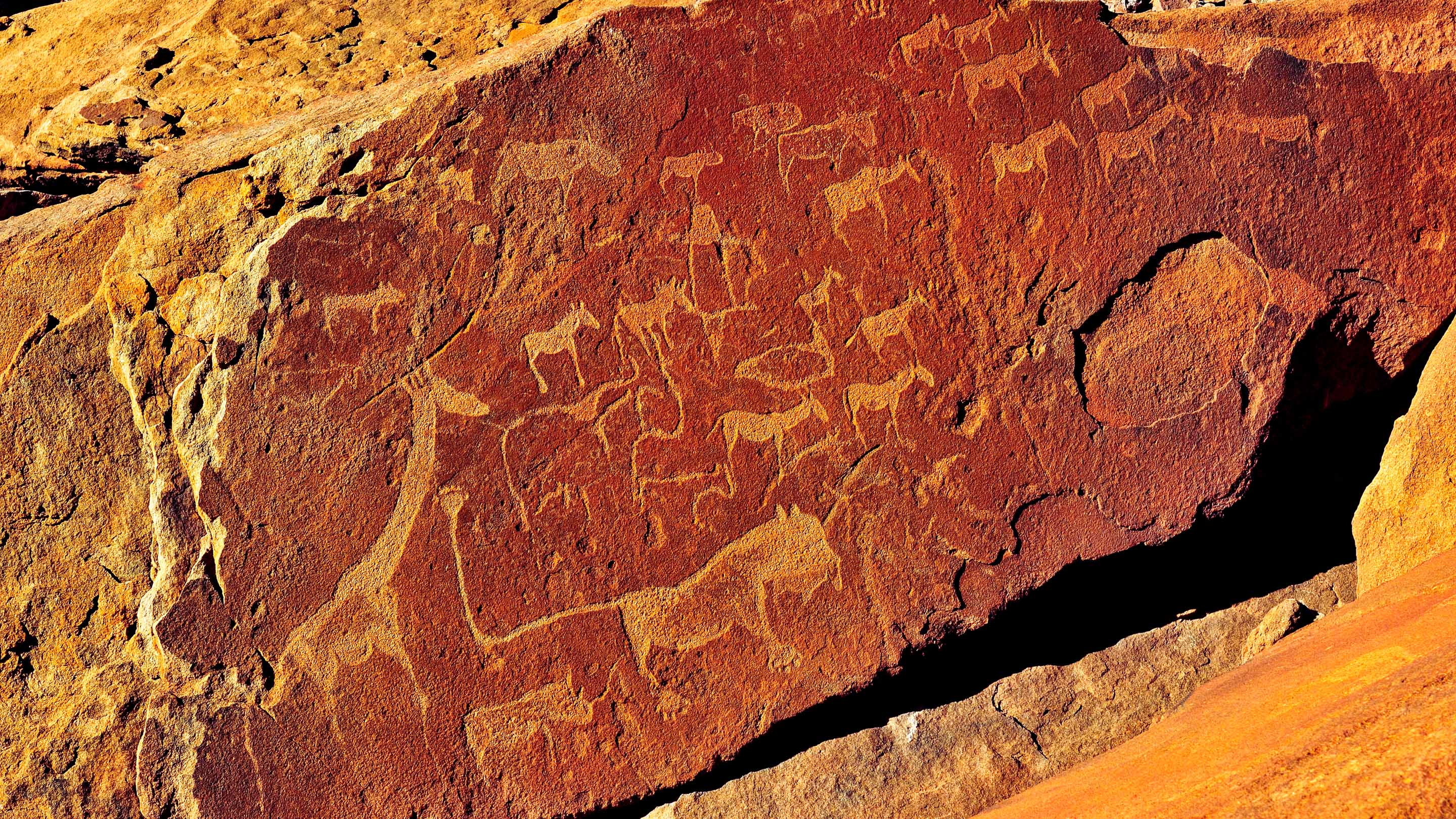 Rock carvings at Twyfelfontein, Namibia